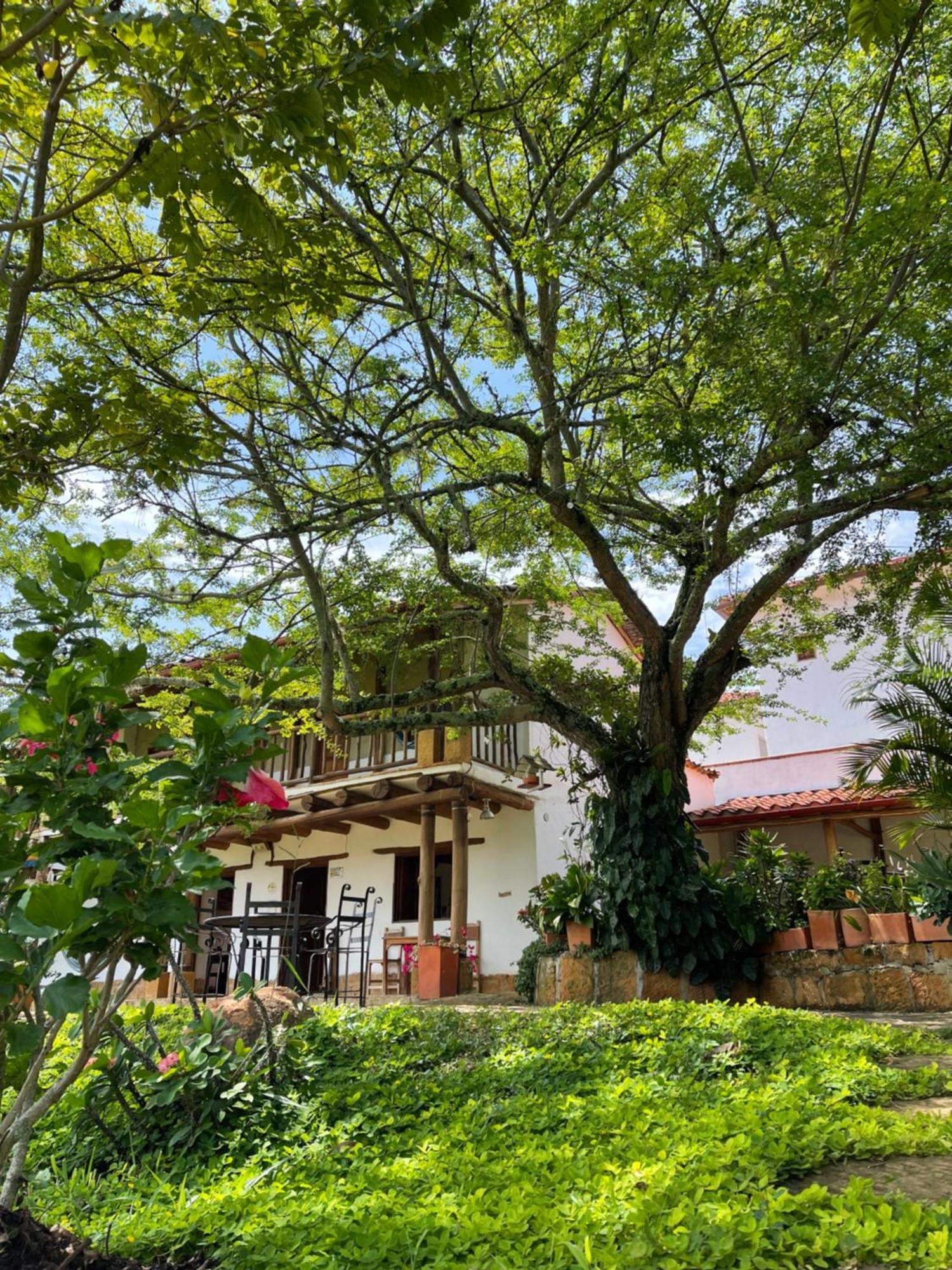 Artepolis Hotel Barichara Exterior photo